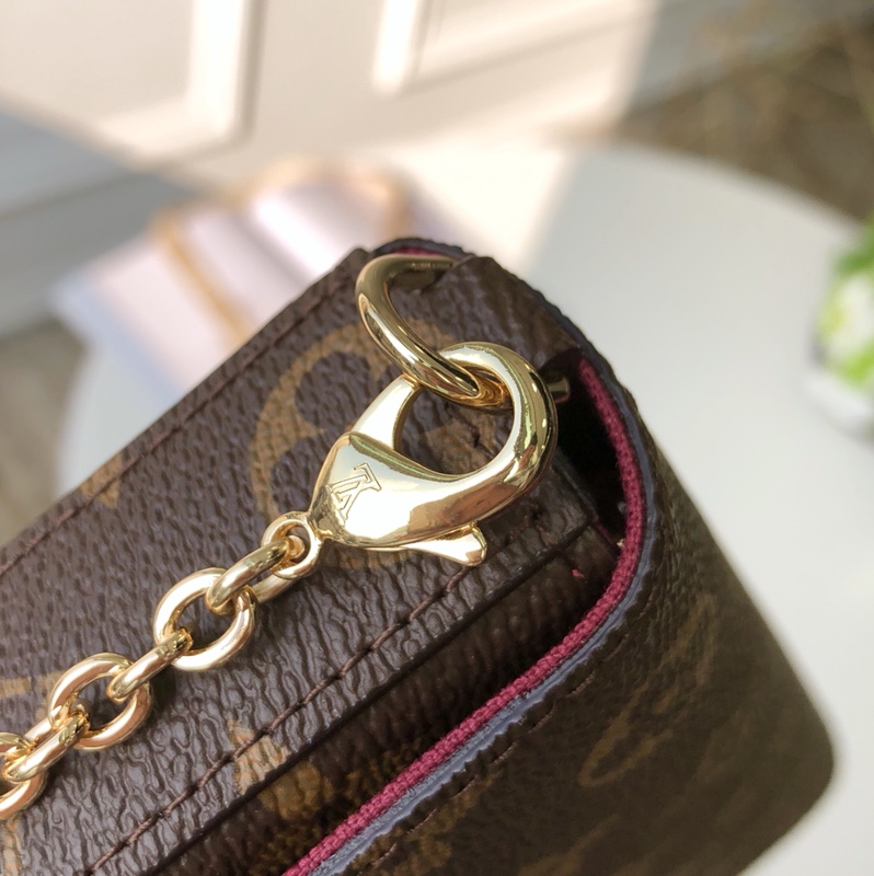 LV Purse